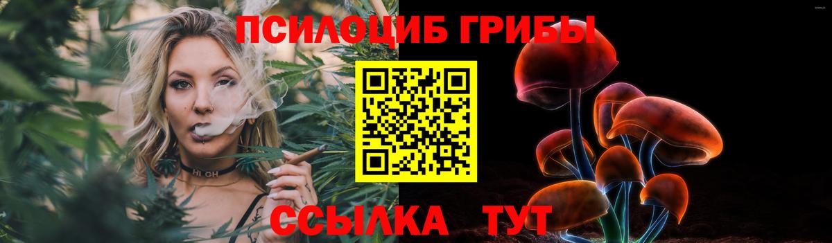 Галлюциногенные грибы GOLDEN TEACHER Белгород